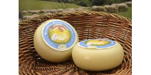 Рецепт сыра качотта